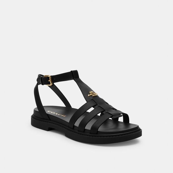NWT Coach Outlet Franny Sandal - Picture 1 of 6